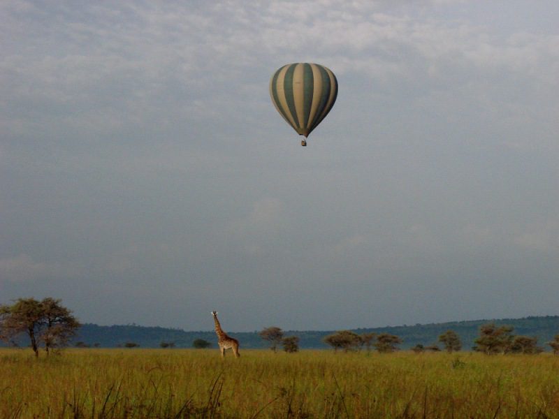 5 Days Tour to Manyara, Serengeti, Ngorongoro