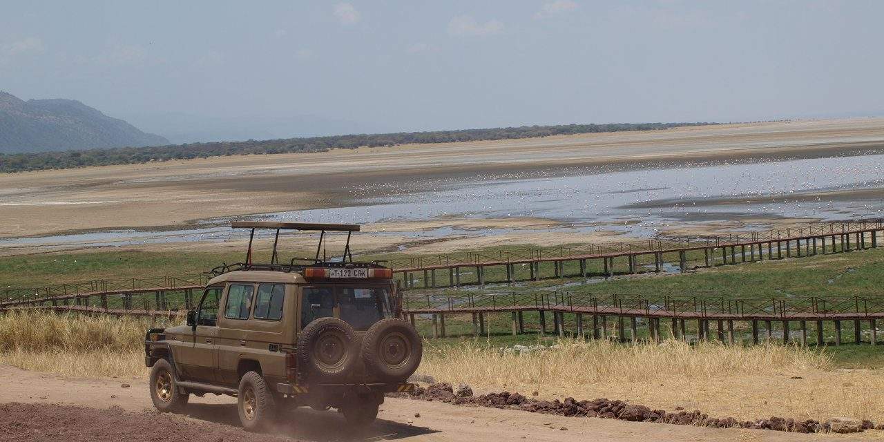 4 Day Chelsea Tour Ngorongoro-Tanzania